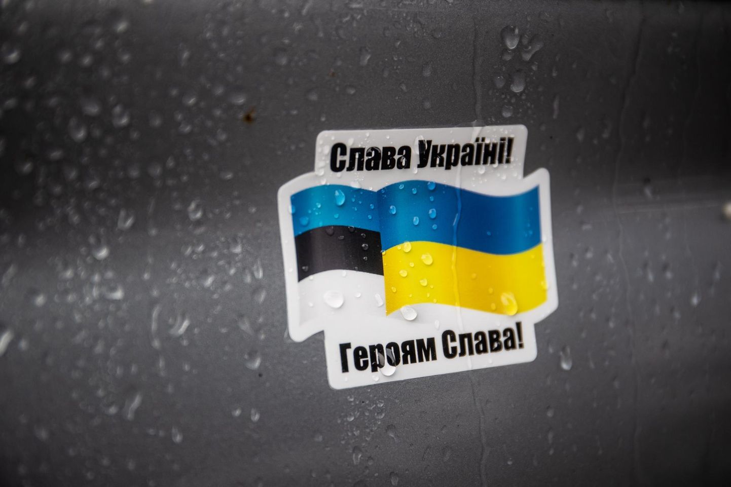 Ukrainas viibivatel Eesti kodanikel, kes soovivad sealt lahkuda, palutakse riigist lahkuda esimesel võimalusel ja pöörduda tagasi Eestisse.