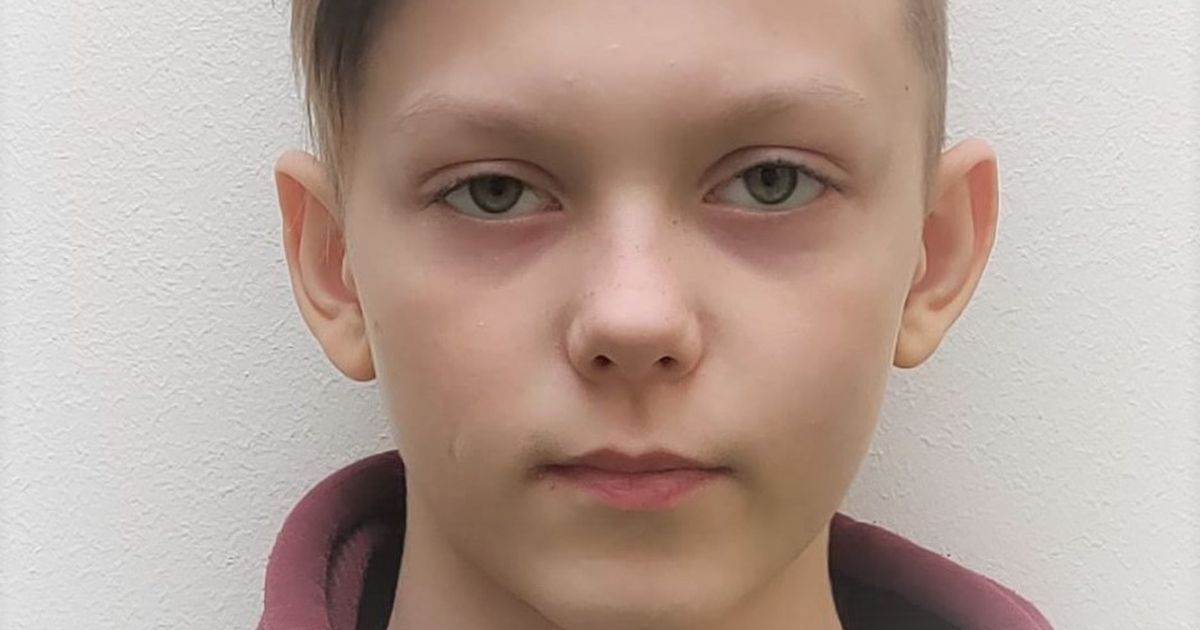 Лицо 11 Летнего Мальчика