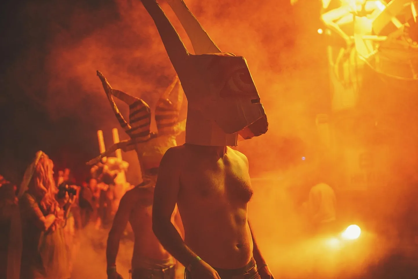 I Land Soundi festivali peeti Saaremaal mere ääres ja mõnigi külastaja võttis pidutsemist eriti tõsiselt. FESTIVALI PROMOFOTO