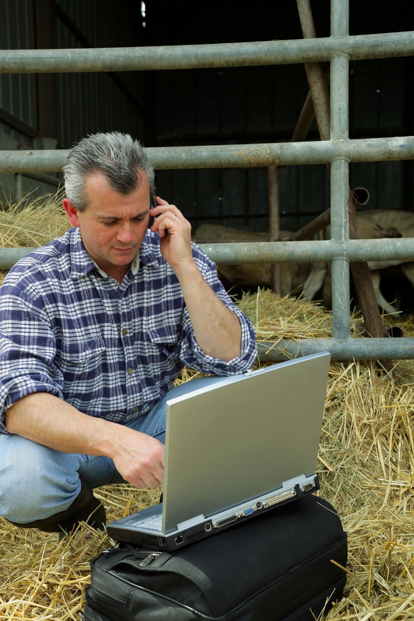 Põllumajandusloendusel saab veel kuni 20. septembrini osaleda veebi kaudu, seejärel algab 15. novembrini kestev telefoniküsitlus.