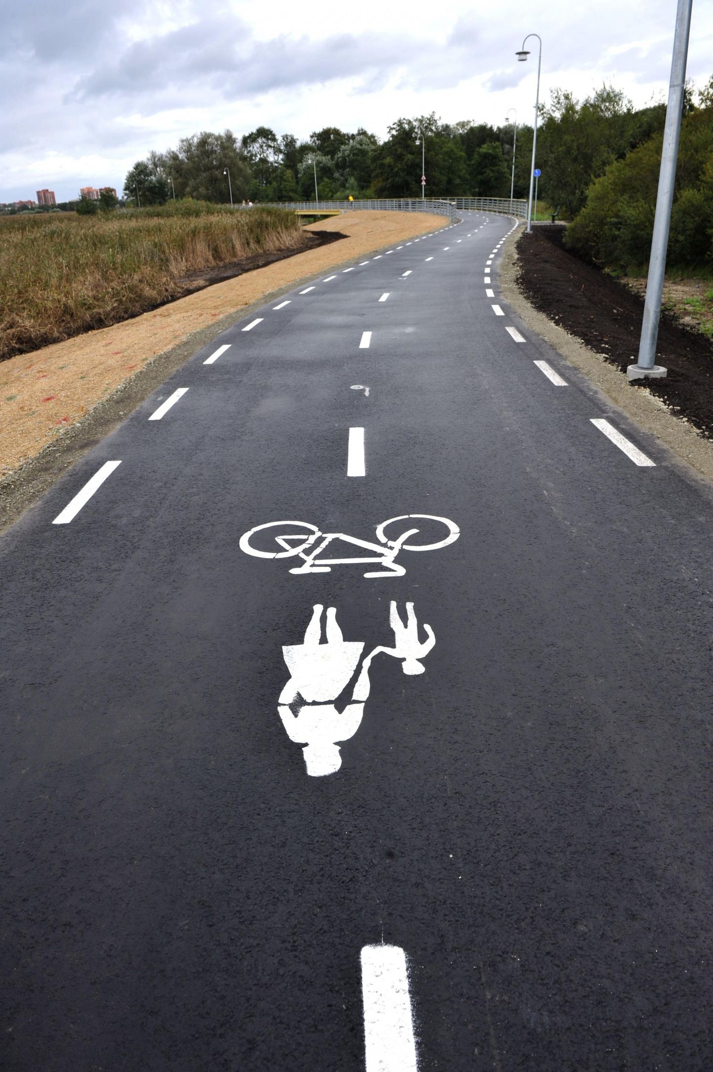 Велосипедно-пешеходная дорожка.