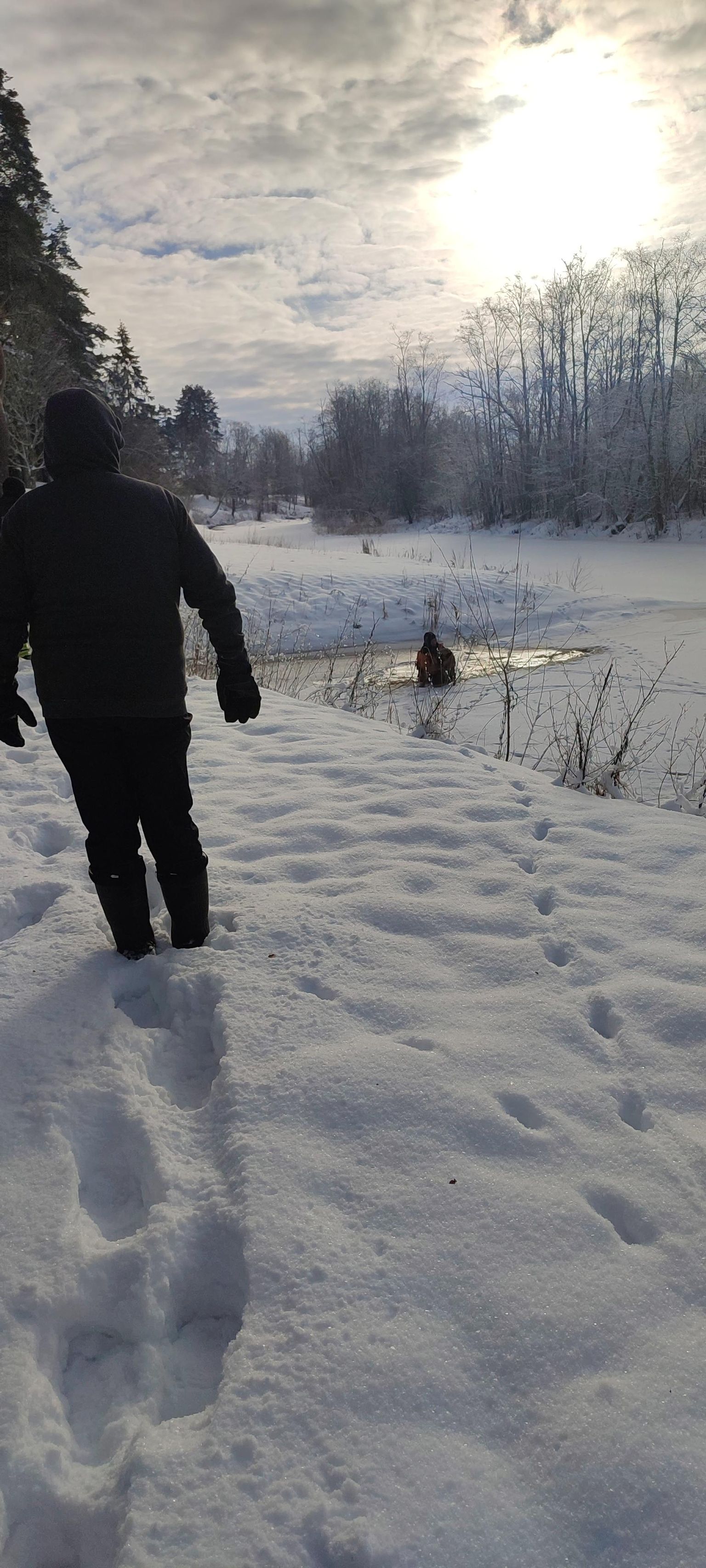 Случайный прохожий заметил провалившегося под лед пса и поступил правильно, когда позвал на помощь спасателей.