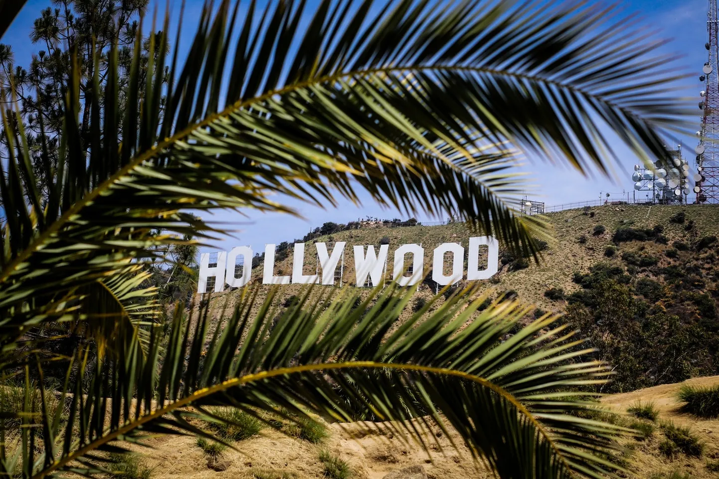 Hollywood hakkab tähtedest tühjaks valguma.