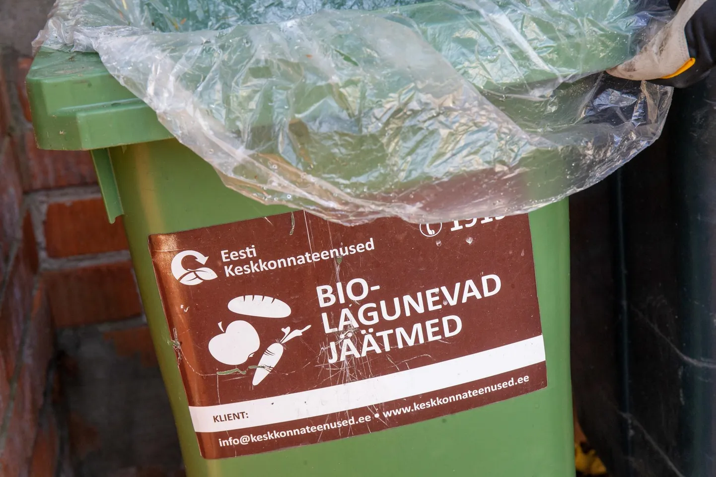 Biojäätmed tuleks panna eraldi prügikasti ja soovitavalt pakituna biolagunevasse kotti.