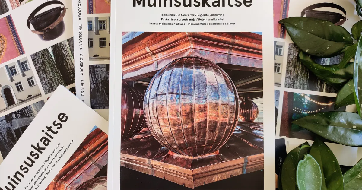 Laevavrakk ja tundmatu luustik – muinsuskaitse aastaraamat vaatab ...