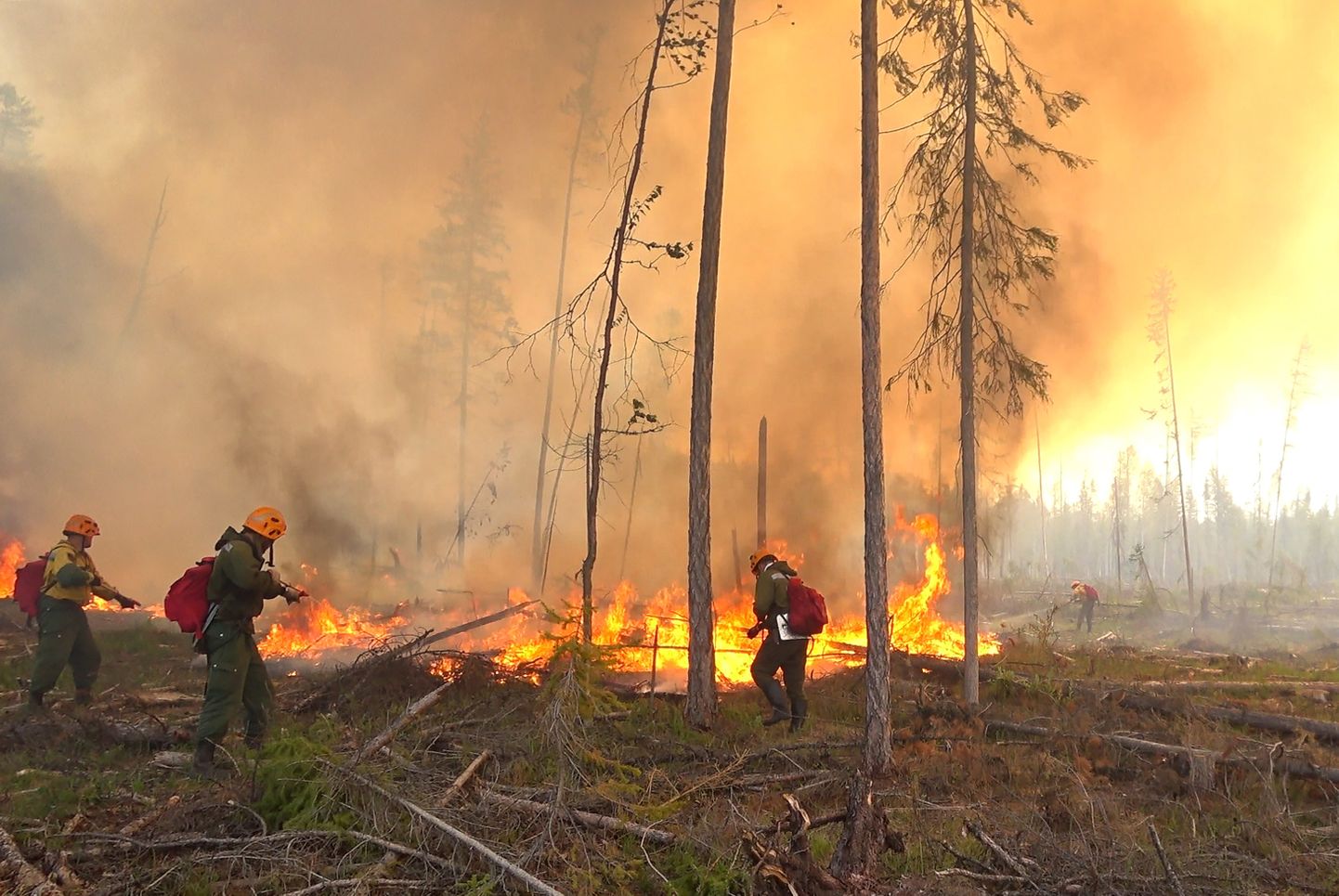 Metsapõlengu kustutamine Venemaal Krasnojarski krais.