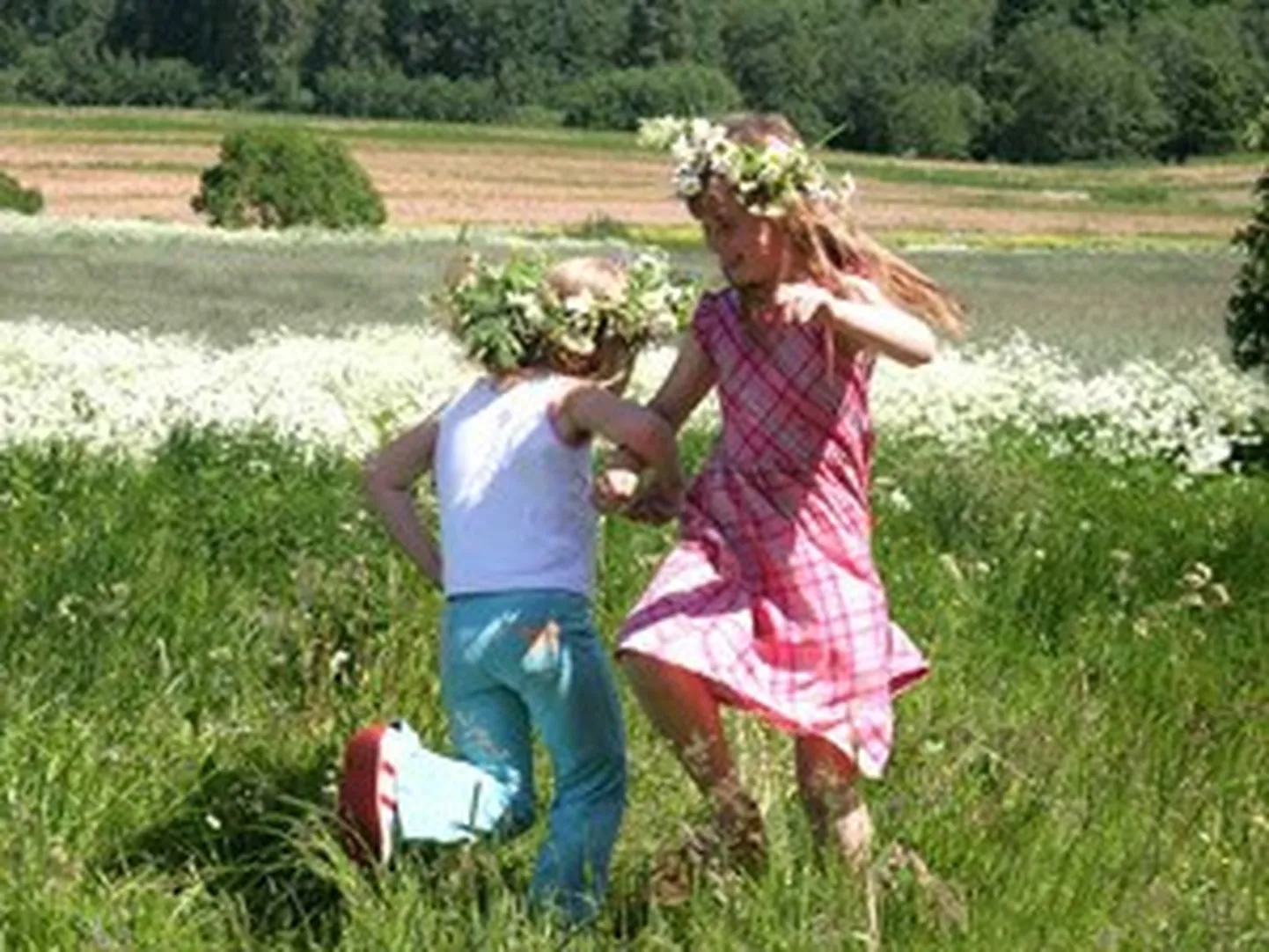 Raksta foto