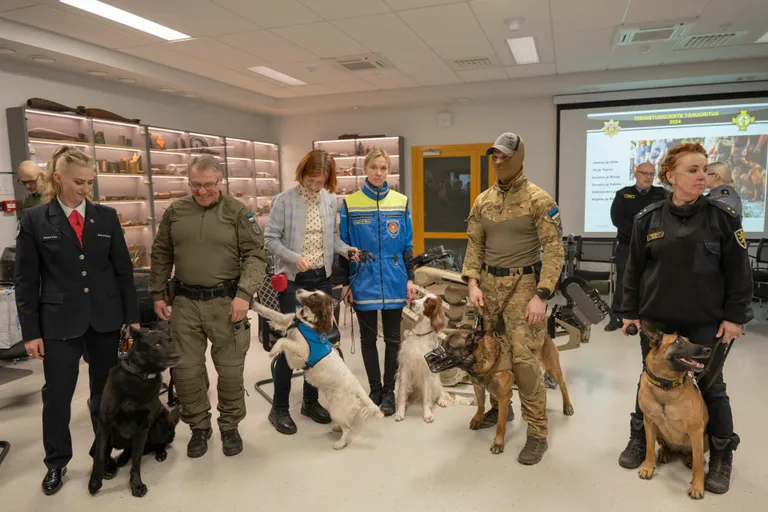Parima koerajuhi ja teenistuskoera tiitleid anti välja kuus, üks kutsa sai aunimetuse postuumselt.