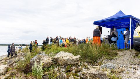 VÄINATAMM 130 ⟩ Tammiavad, mahavõetud ja püstijäänud mastid, värav ja matkarada