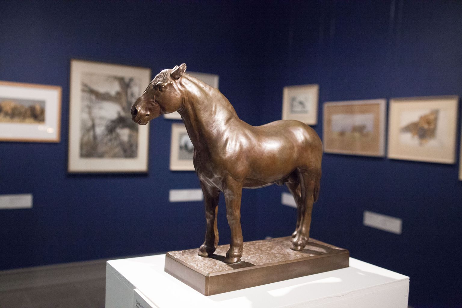 Бронзовая ломовая лошадь от Петра Клодта.