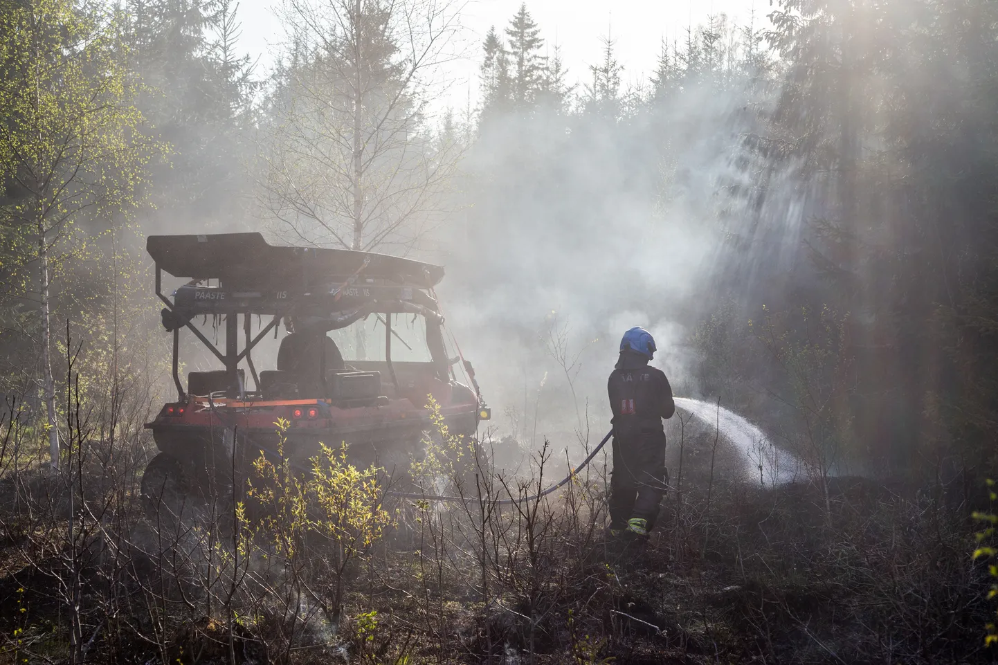 Лесной пожар под Кохтла-Ярве в мае этого года.