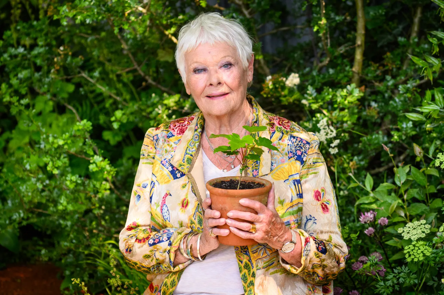 90-aastase Judi Denchi silmanägemine on kollatähni kärbumise tagajärjel läinud nii viletsaks, et Dench ei saa enam väljas käia.