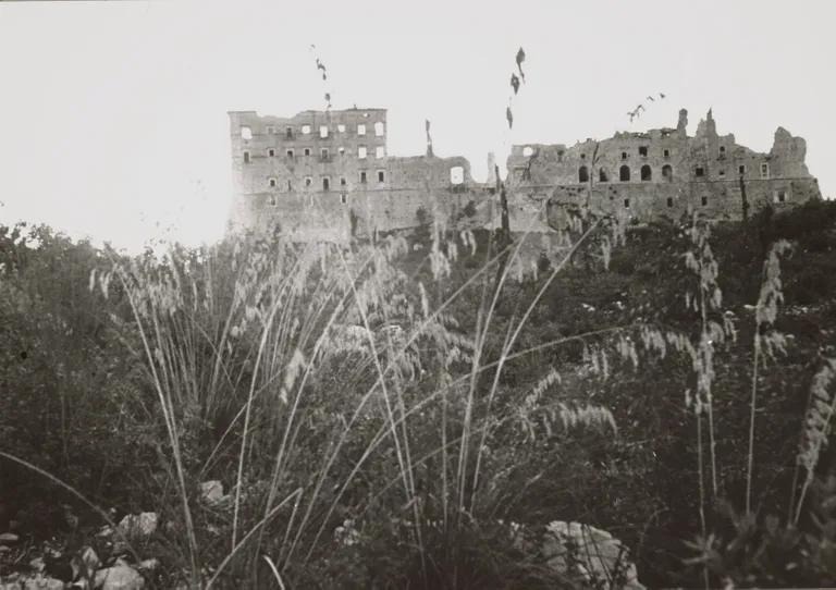 Artikli foto
