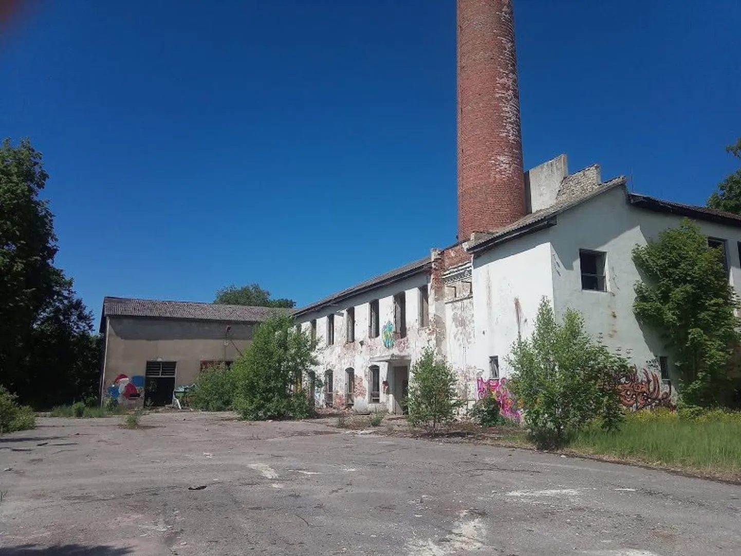Artikli foto