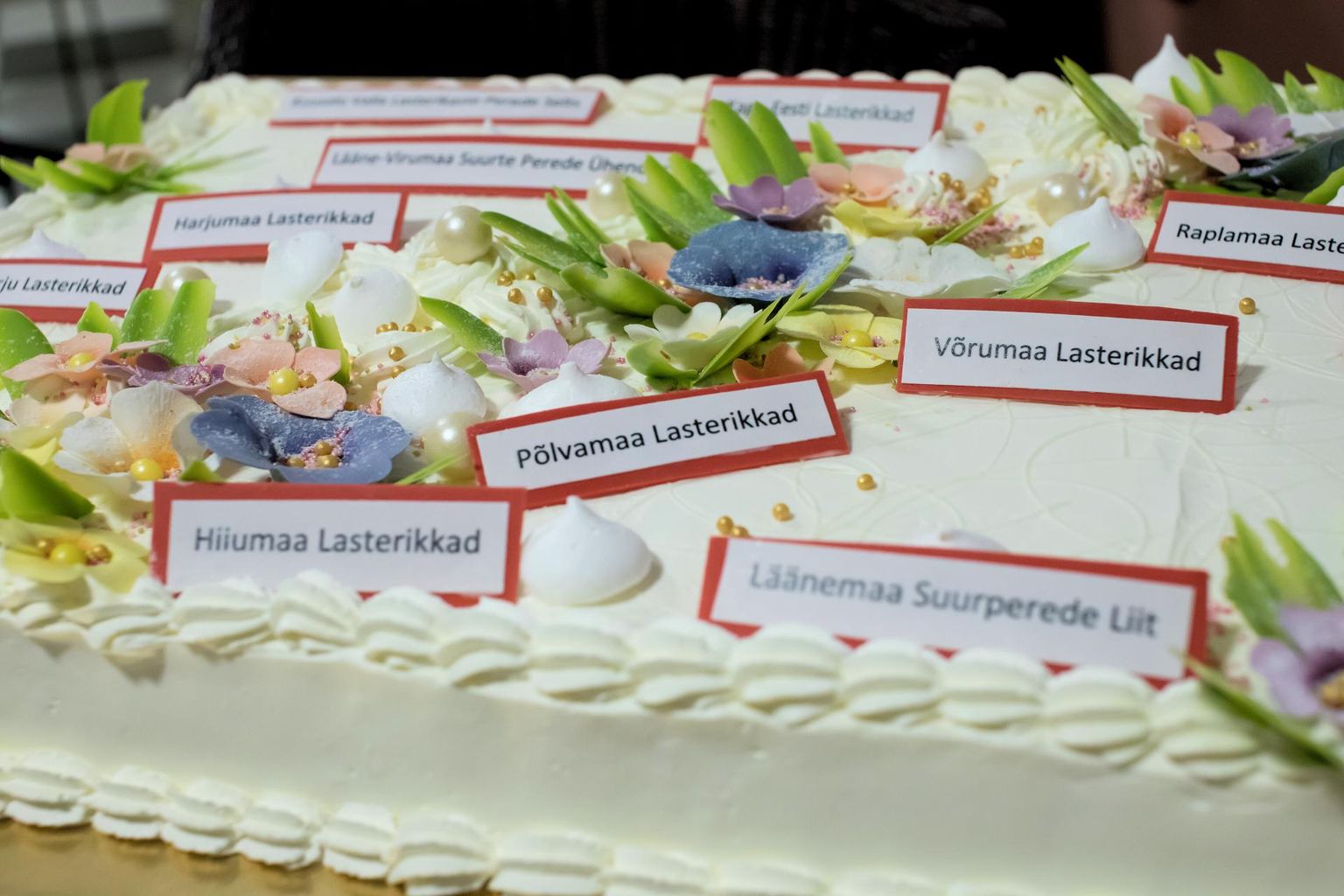 Eesti Lasterikaste Perede Liidu sünnipäevatort, mida kaunistavad liikmesorganisatsioonide nimed. Liidu võrgustikku kuulub ligi 3000 perekonda, kellel kokku enam kui 10 000 last.