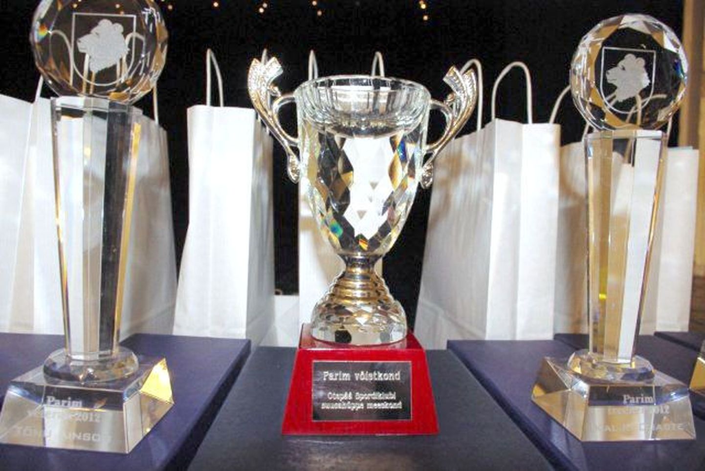 Otepää vallavalitsus valis välja 2012. aasta parimad sportlased.