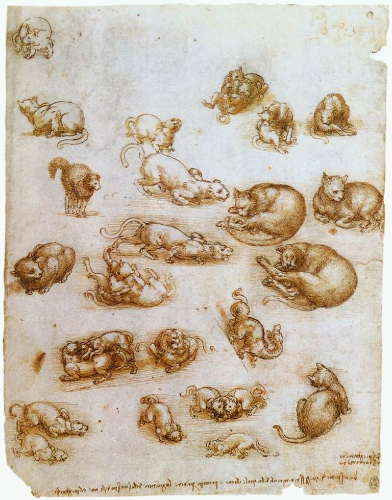 «Kassid, lõvid ja lohe» (ca 1517-18