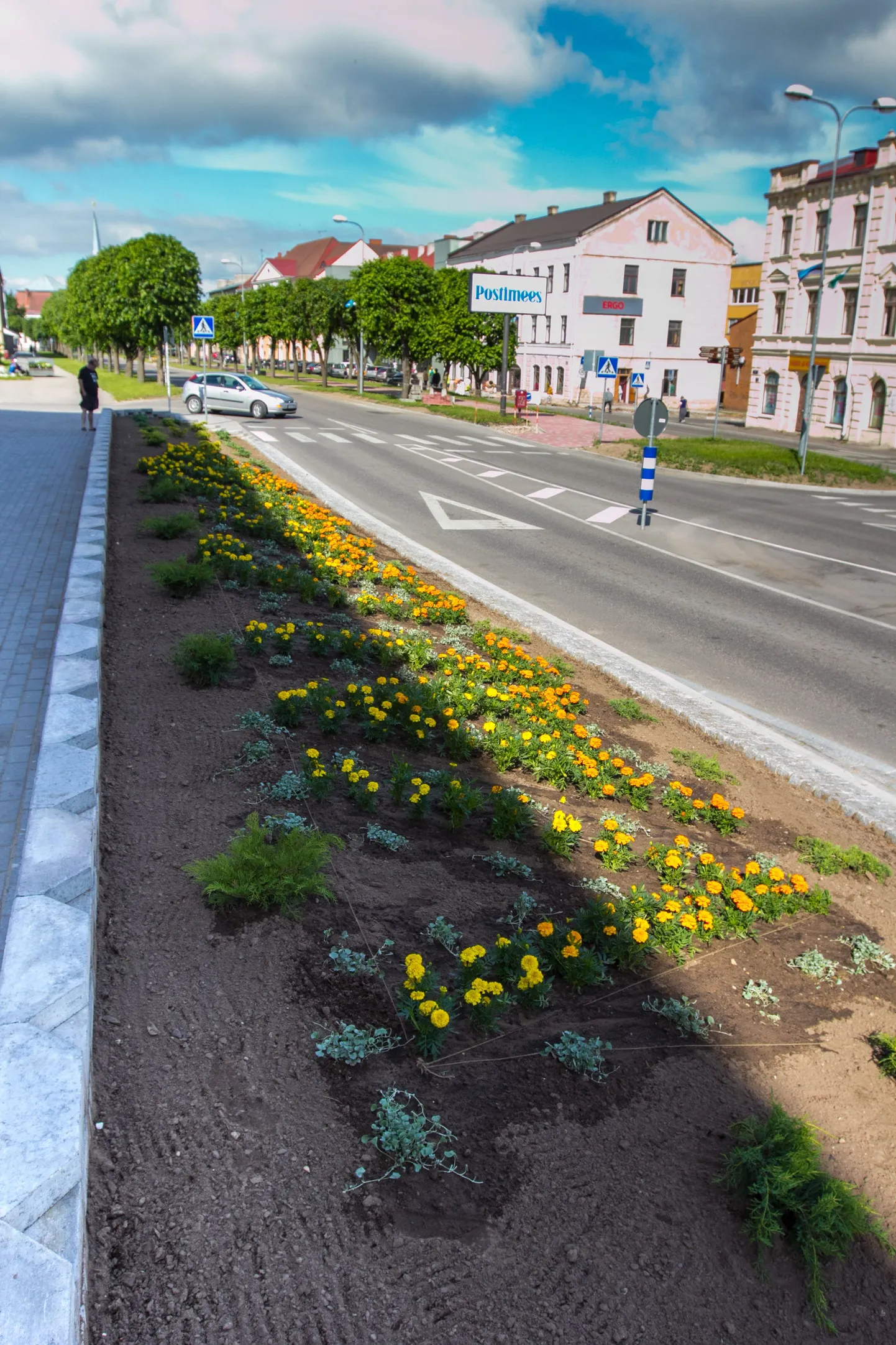 Paraadi toimumiskoht Kesk tänav on viimaste nädalate jooksul läbinud värskenduskuuri. Linna juubeliga seoses on ringtee äärsele kaldrinnatisele lilledest moodustatud kiri «Valga 430».