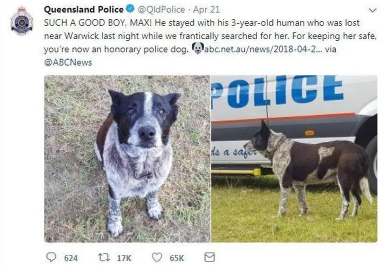 Queenslandi politsei tegi Maxist aukoera