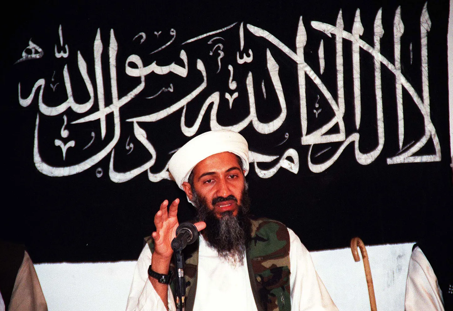 Osama bin Ladens