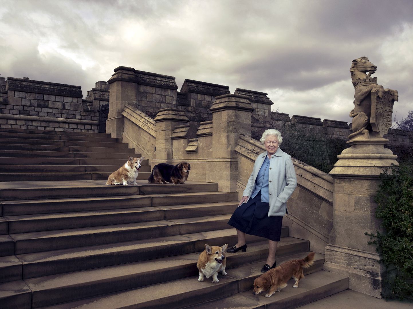 Королева Елизавета II и ее собаки породы корги, 2016 год.