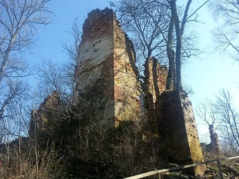 Фото статьи