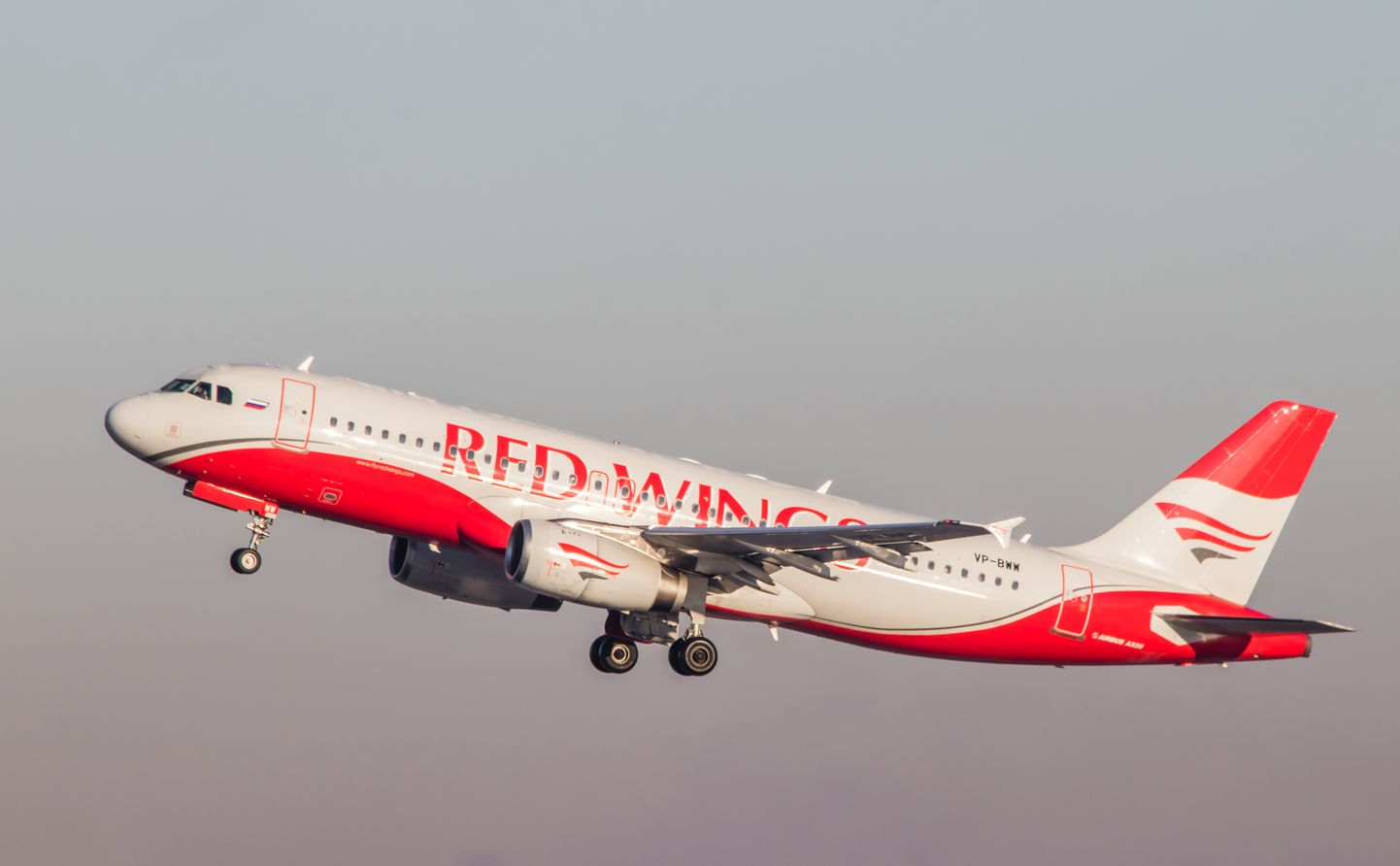 Самолет фирмы Red Wings.
