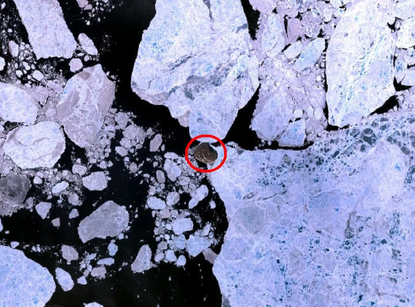 NASA Landsat 7 / Wikimedia Commons