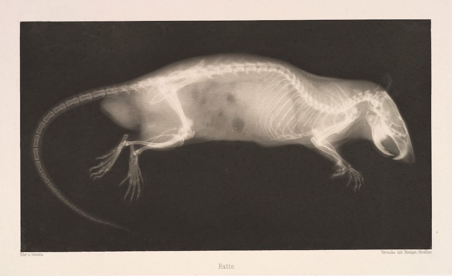 Arhīva foto: agrīnie eksperimenti ar rentgenstariem 