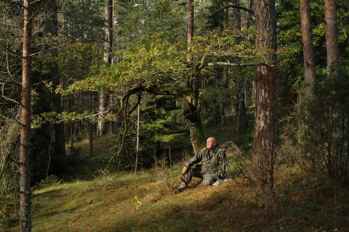 Kaader filmist "Fred Jüssi. Olemise ilu".
