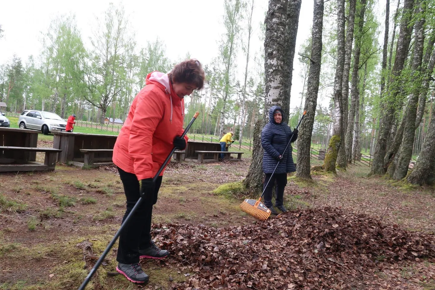 Korrastustööd Värska laululava ümbruses