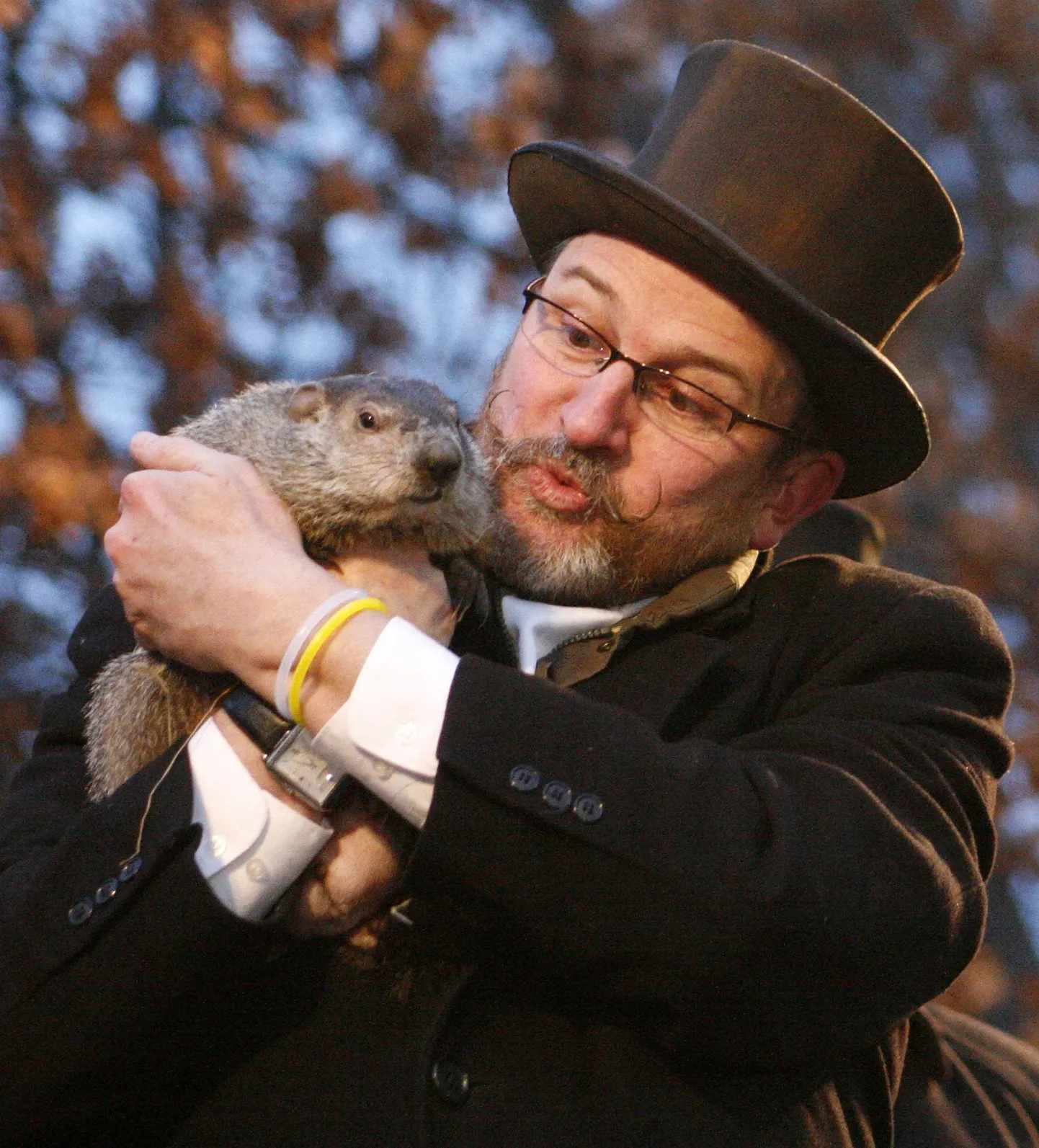 Punxsutawney Phil