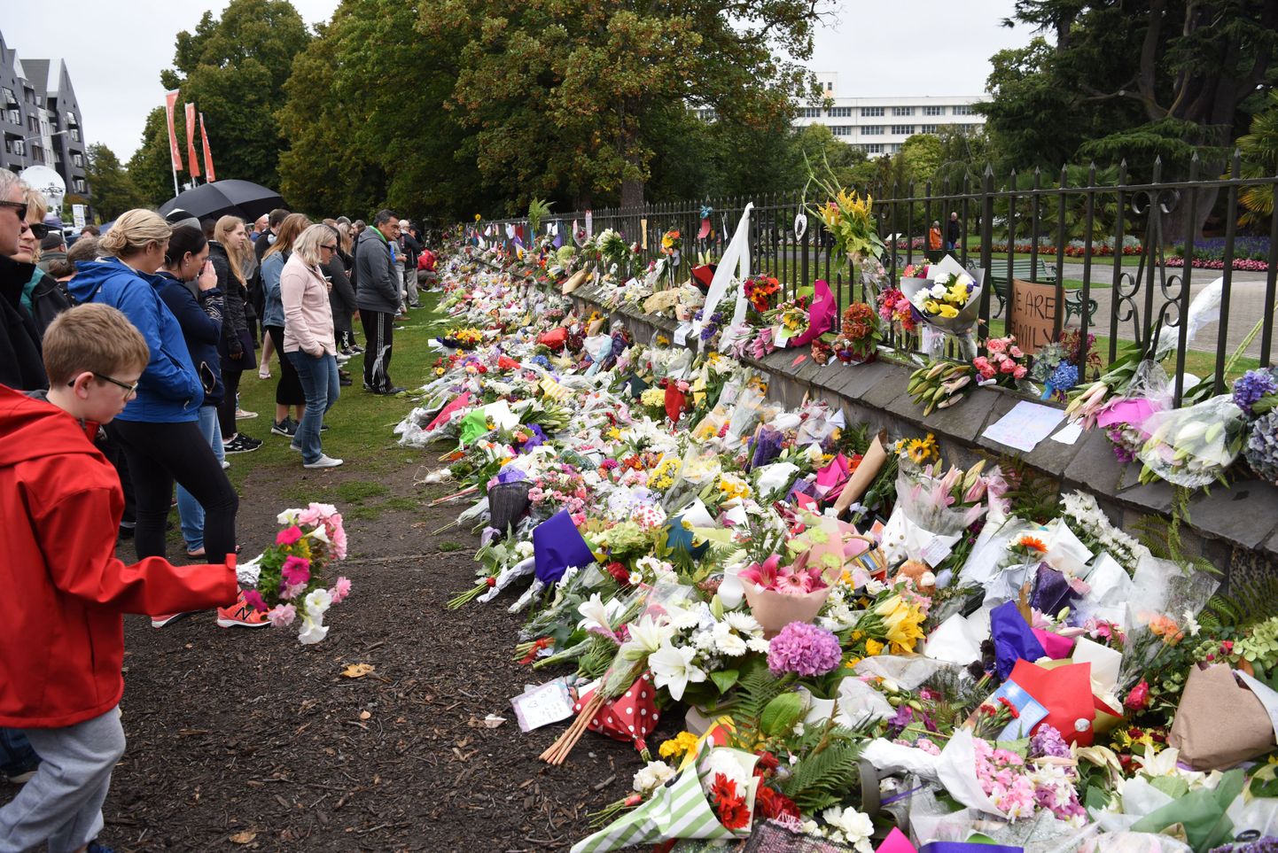 Цветы в память о погибших во время теракта в Новой Зеландии.