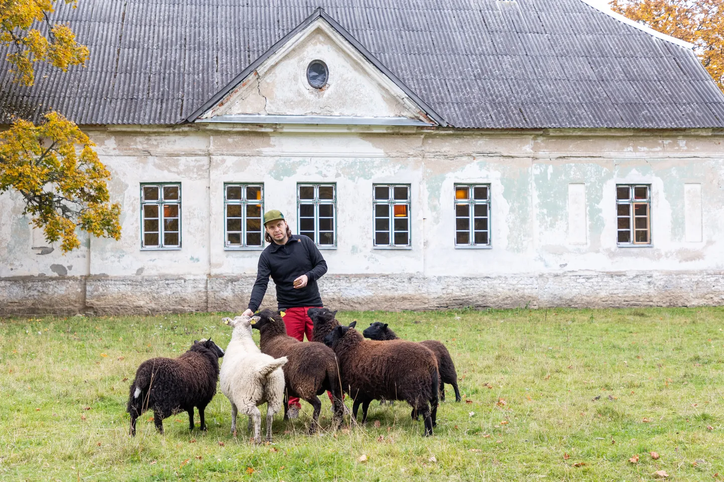 «Restoranid, mis suudavad tegutseda viis aastat, on haruldus. Suur osa Põhjaka püsimises on meie jonnakusel, soovis nautida maaelu. Et siin tööd teha, tuleb ise endale töökoht teha,» ütleb Põhjaka restorani kaasomanik Ott Tomik.