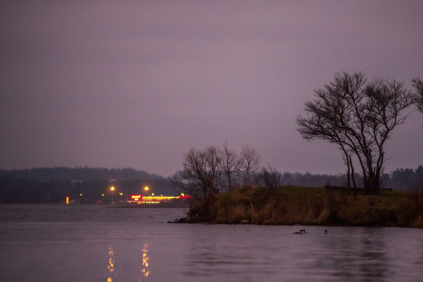 Foto: Drēgns rīts Daugavas kreisajā krastā 