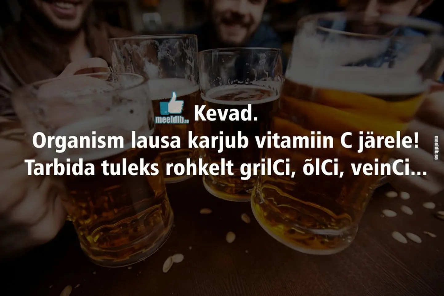 Artikli foto