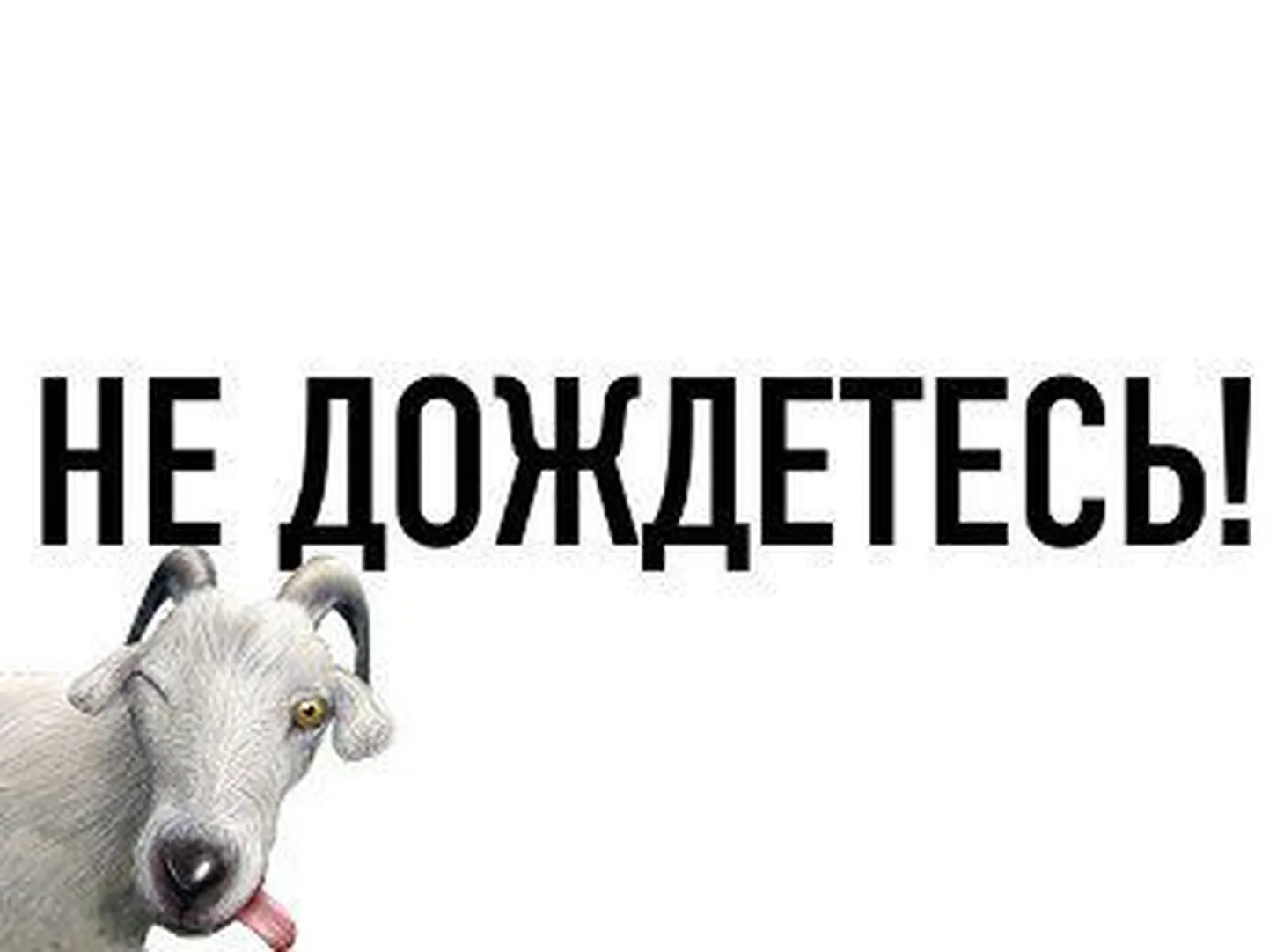 Фото статьи