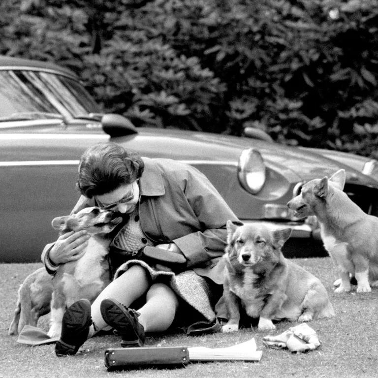 Elizabeth II oma corgidega 1973. aastal