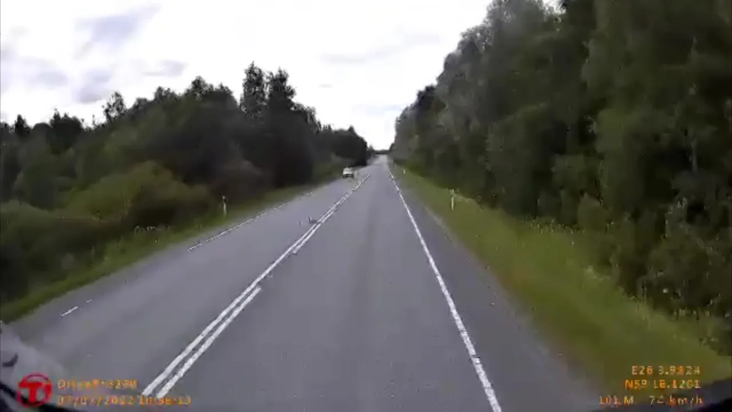 ain_pardid_rollerauto.mp4