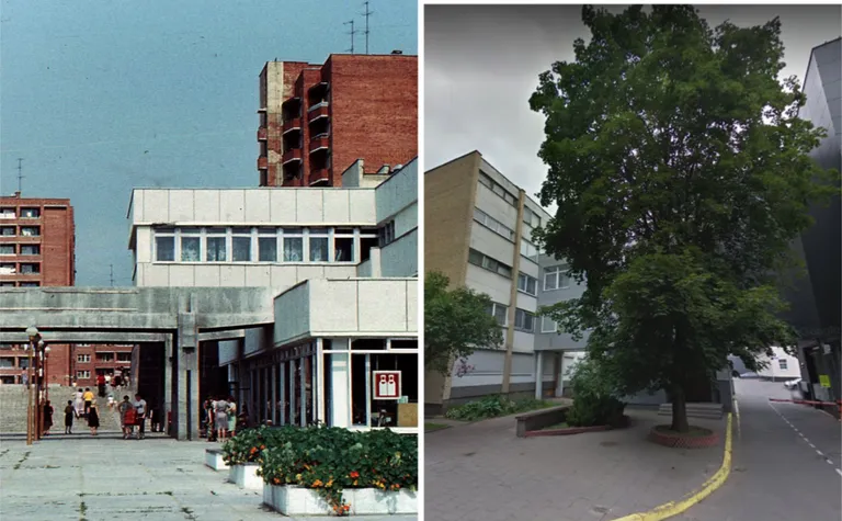 Фото статьи