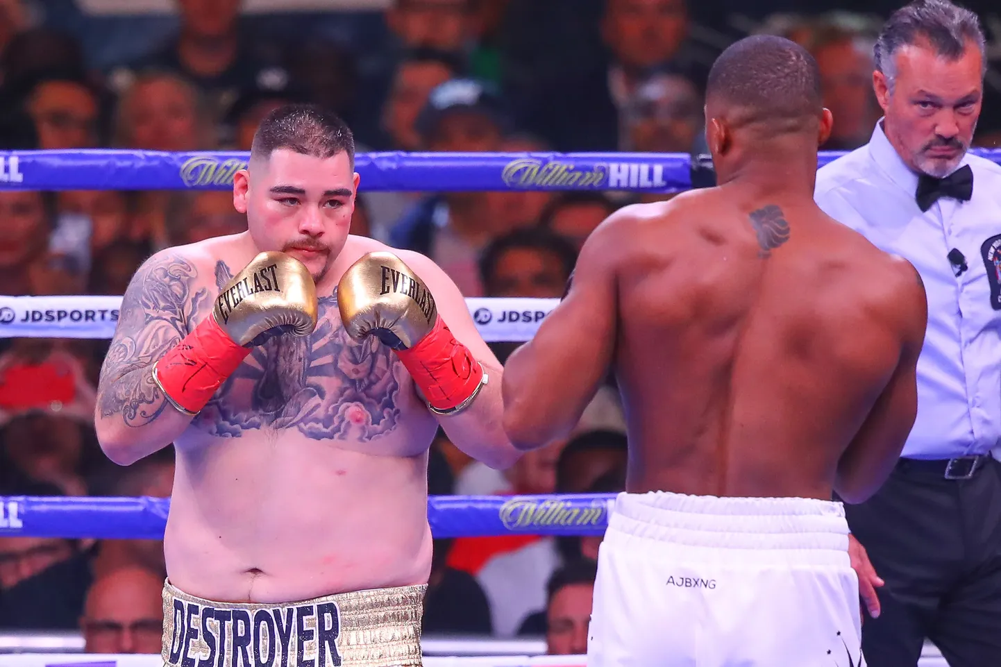 Andy Ruiz (vasakul).