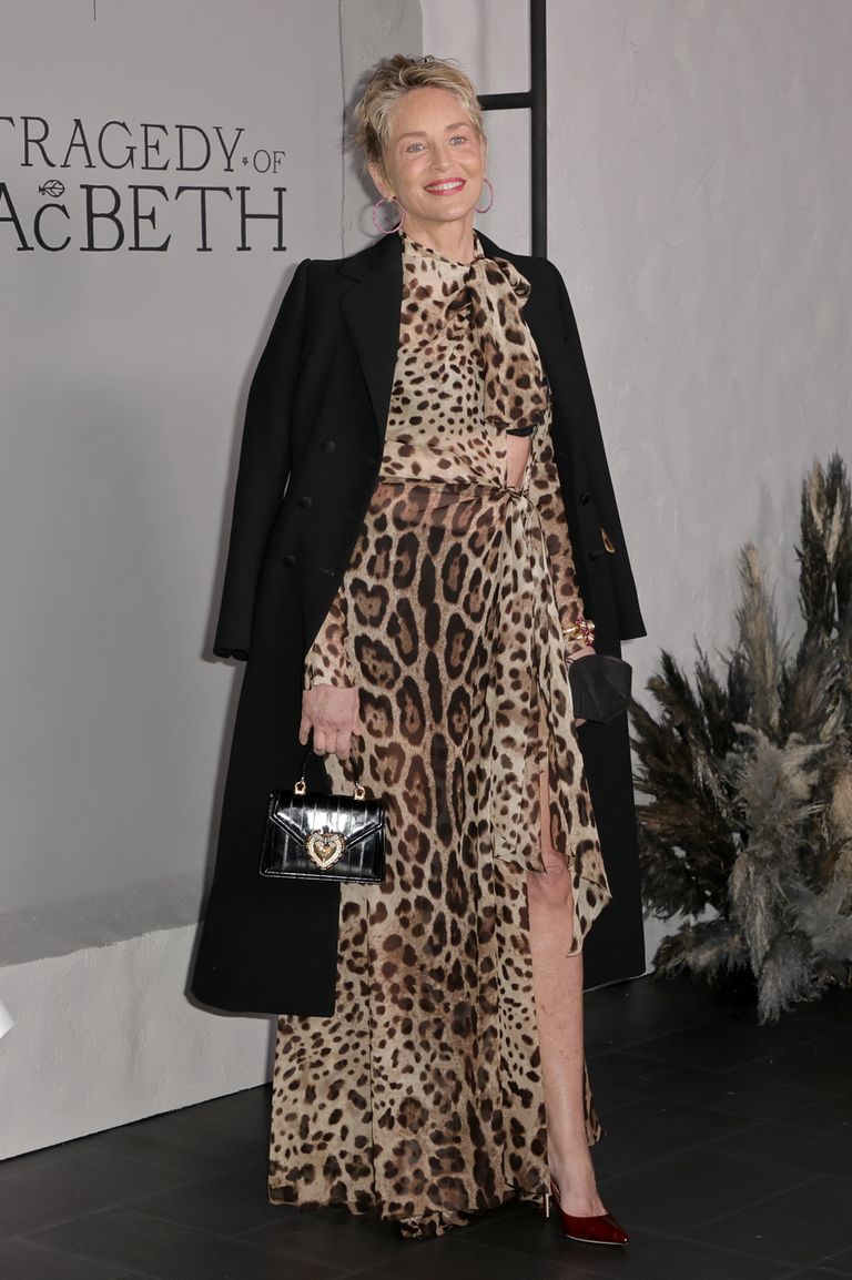 Šārona Stouna leoparda kleitā