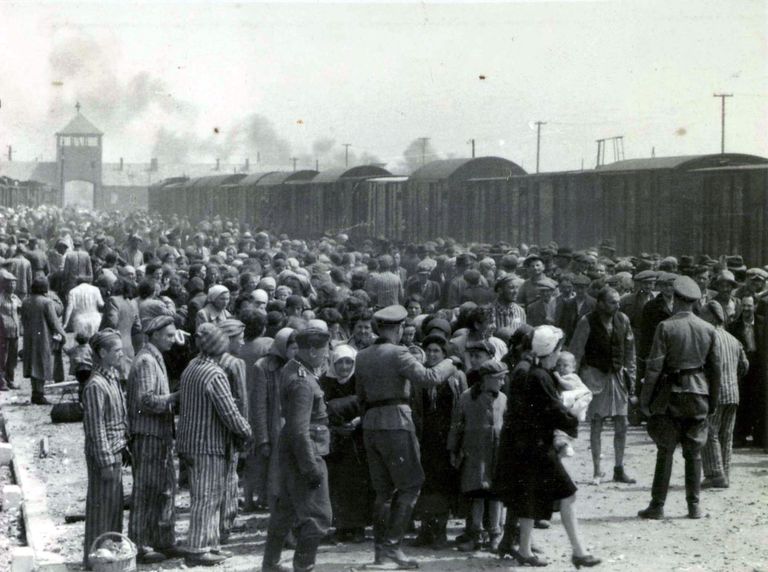 Auschwitzi toodud