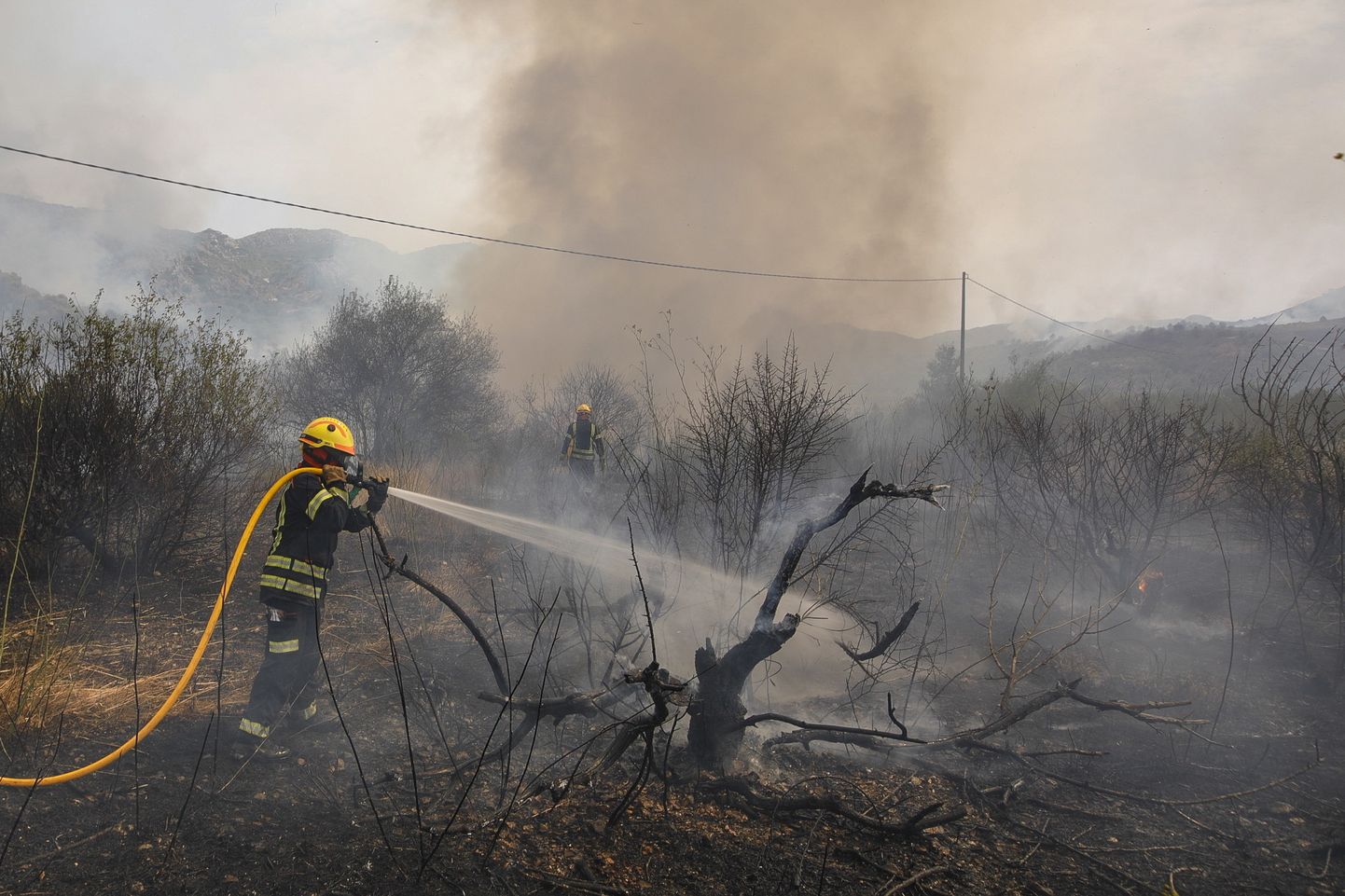Пожар в Испании, 14 августа.