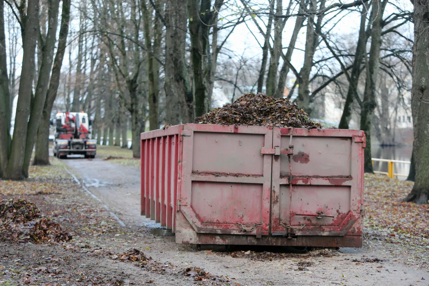 Vabaduse puiestikus olid sel nädalal lehekoristuseks appi võetud suured masinad. Töö sai ruttu tehtud, aga jäljed jäid.