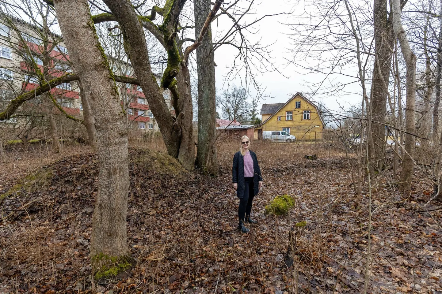 Paidesse Puuvilja tänavale vana talukoha asemele kerkib uus kortermaja. Krundile mahub kolm ligi 90 ruutmeetri suurust kahekorruselist korterit, millele omanikke asub kinnisvaramaakler Kersti Okas (pildil) ka kohe otsima.