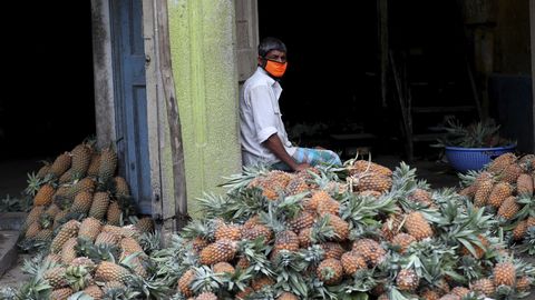 Koroonaravimi otsingul on jõutud ananassis peituva võimsa ensüümi – bromelaiinini