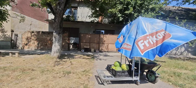 Putkamajandus on Serbias au sees. Kes müüb arbuuse, kes sandaale.
