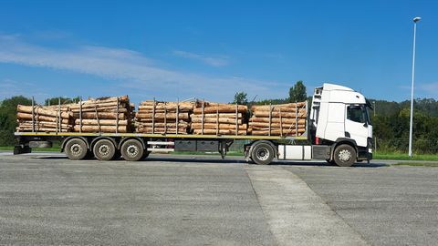 "Latvijas valsts meži" atsāk koksnes piegādes pilnā apjomā