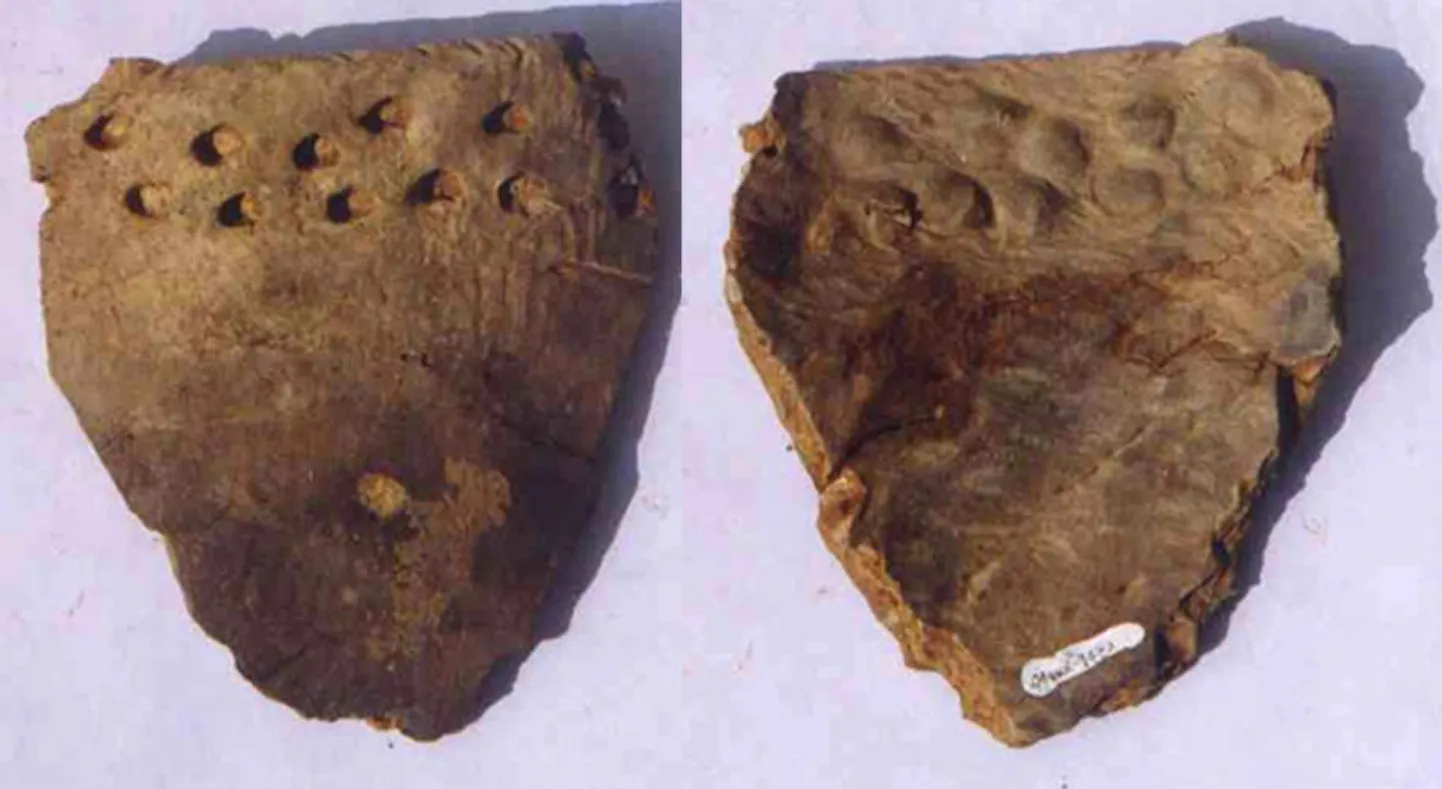 Arheoloogid leidsid jälgi 2500-aastasest šokolaadist